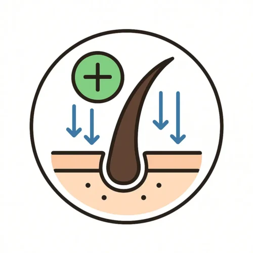 مزوتراپی پوست و مو | جوانسازی، روشنسازی و تقویت مو – کلینیک دالیا 4 مزوتراپی مو برای کاهش ریزش و تقویت فولیکولها